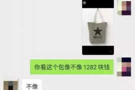 新城区如何避免债务纠纷？专业追讨公司教您应对之策