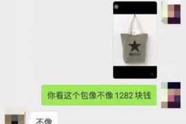 新城区专业讨债公司，追讨消失的老赖